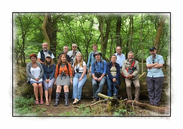 border V 03-copy-copy-copy_edited-1-copy_edited-1.jpg - SOME FRIENDS FROM BOURNEMOUTH, CHRISTCHURCH, POOLE - THE LITTLE KNOWN GARSTON WOOD, DORSET - 24.7.16